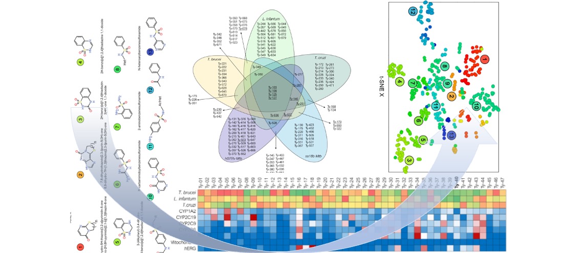 The discovery of aryl-2-nitroethyl triamino pyrimidines as anti-Trypanosoma brucei agents