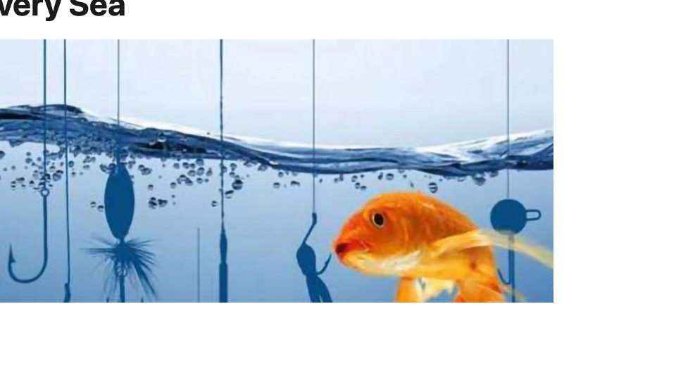 Animal models for lead selection against vector borne parasitic diseases within the One Health concept