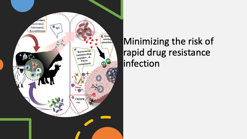 Minimizing the risk of rapid-onset (cross) resistance in PVBD drug development