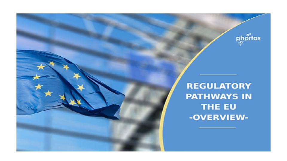 Regulatory aspects of drug development in Europe