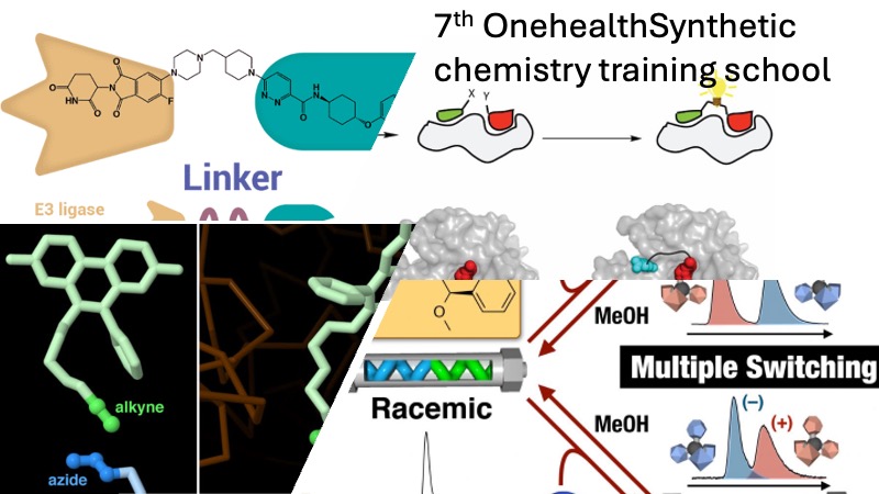 7th OHD Training School on SYNTHETIC CHEMISTRY OF ANTIMICROBIAL DRUGS AND PROTAC’S STRATEGY