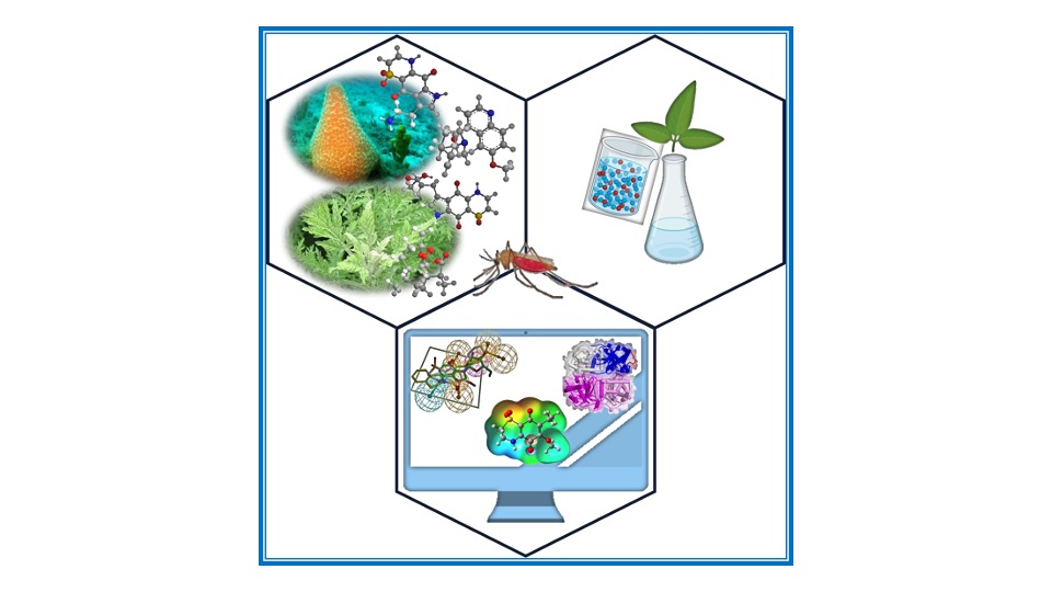 3rd OHD TRAINING SCHOOL - Natural products in antiparasitic drug discovery: experimental and computational approaches