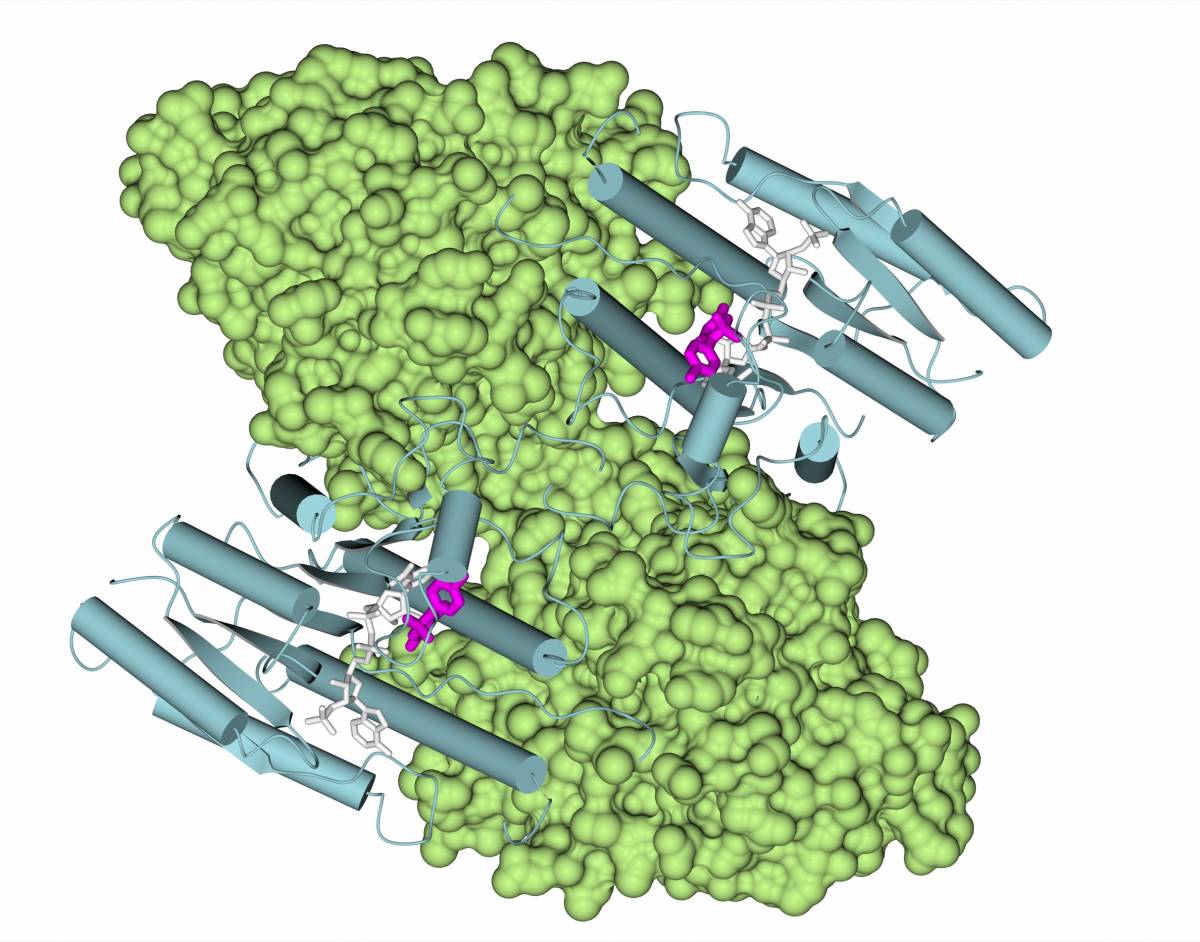 MedChem and structural biology