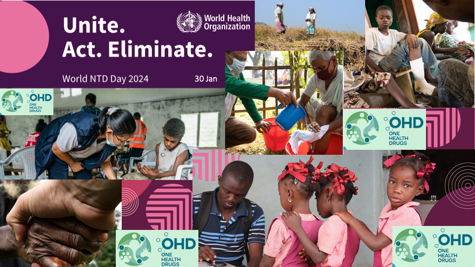 Letter from the OHD network NTD 30 January 2024