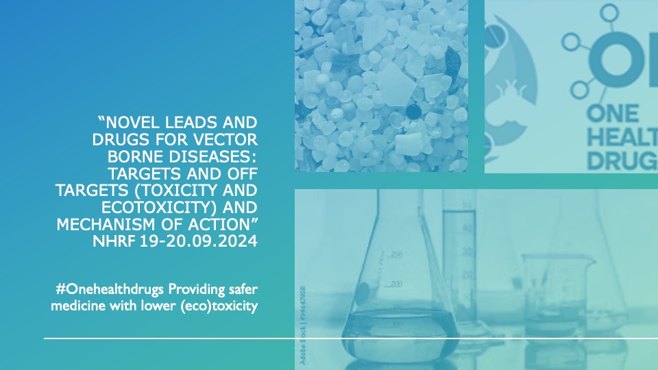 International workshop 