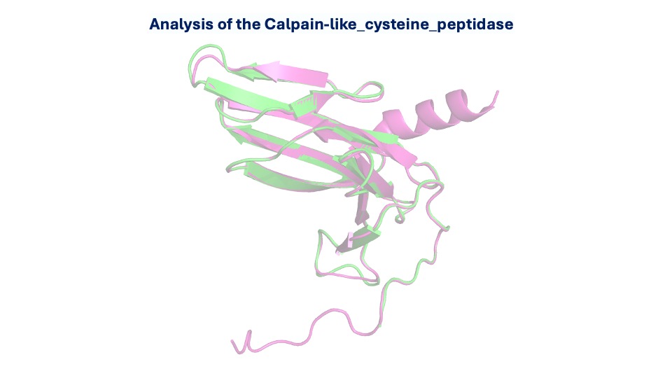 Computational approach for calpain inhibitors discovery with potential antiparasitic activity against Leishmania Infantum. From MS label-free proteomic analysis to hits identification through virtual screening.