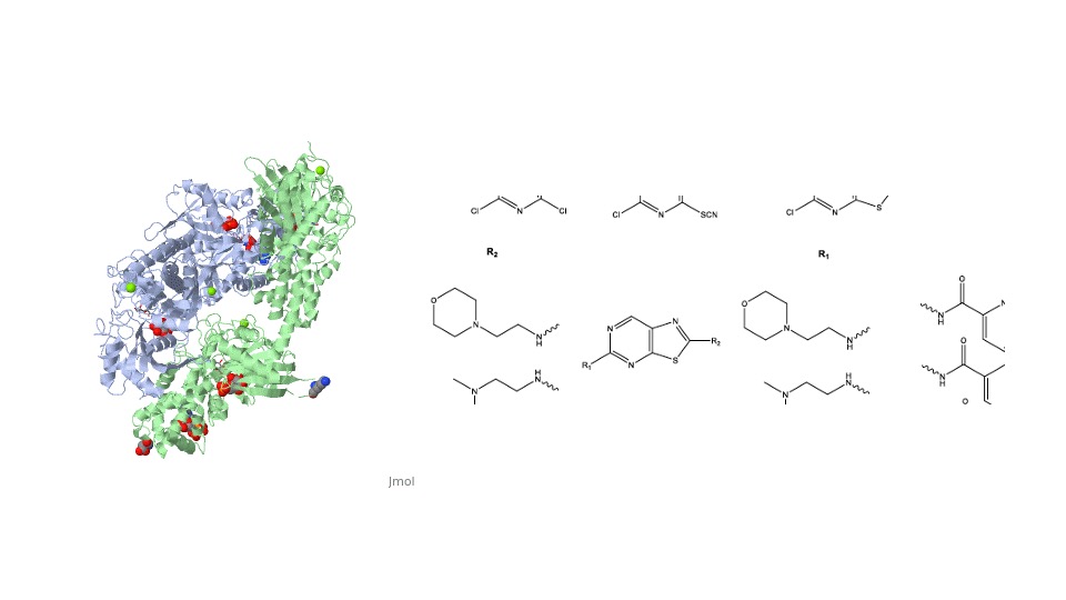 Design, Synthesis and Biological Evaluation of Antileishmanial Azaheterocyclic Compounds as Inhibitors of the Parasitic Exokinase CK1 (casein kinase 1)