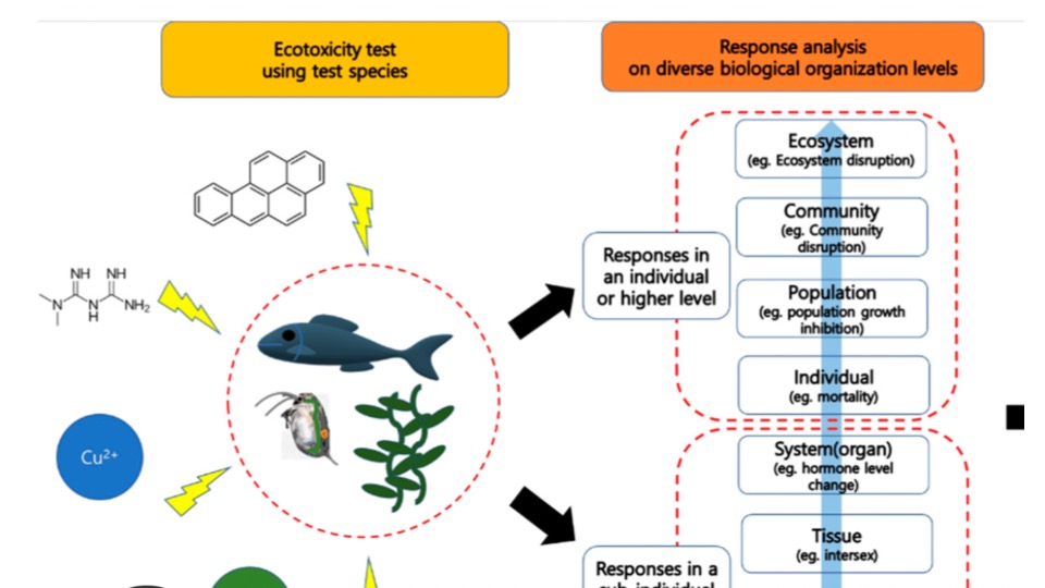 In-vitro and in-silico analysis of neglected infectious disease compounds from an ADMET and ecotoxicology perspective