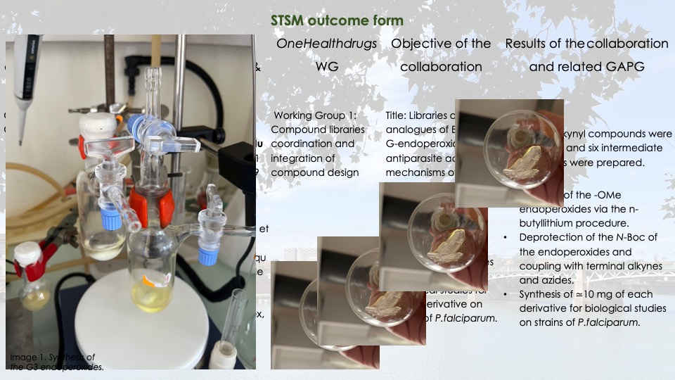 Libraries of analogues of Eucalyptus G-endoperoxides, antiparasite activities, mechanisms of action.