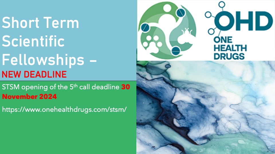 UPDATED - Rules and templates for STSM - YEAR 3 -2025