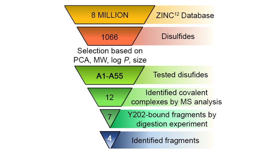 SURVEY 2. Compounds databases publicly available