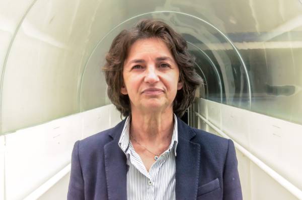 Prof Anabela CORDEIRO-DA-SILVA<br />